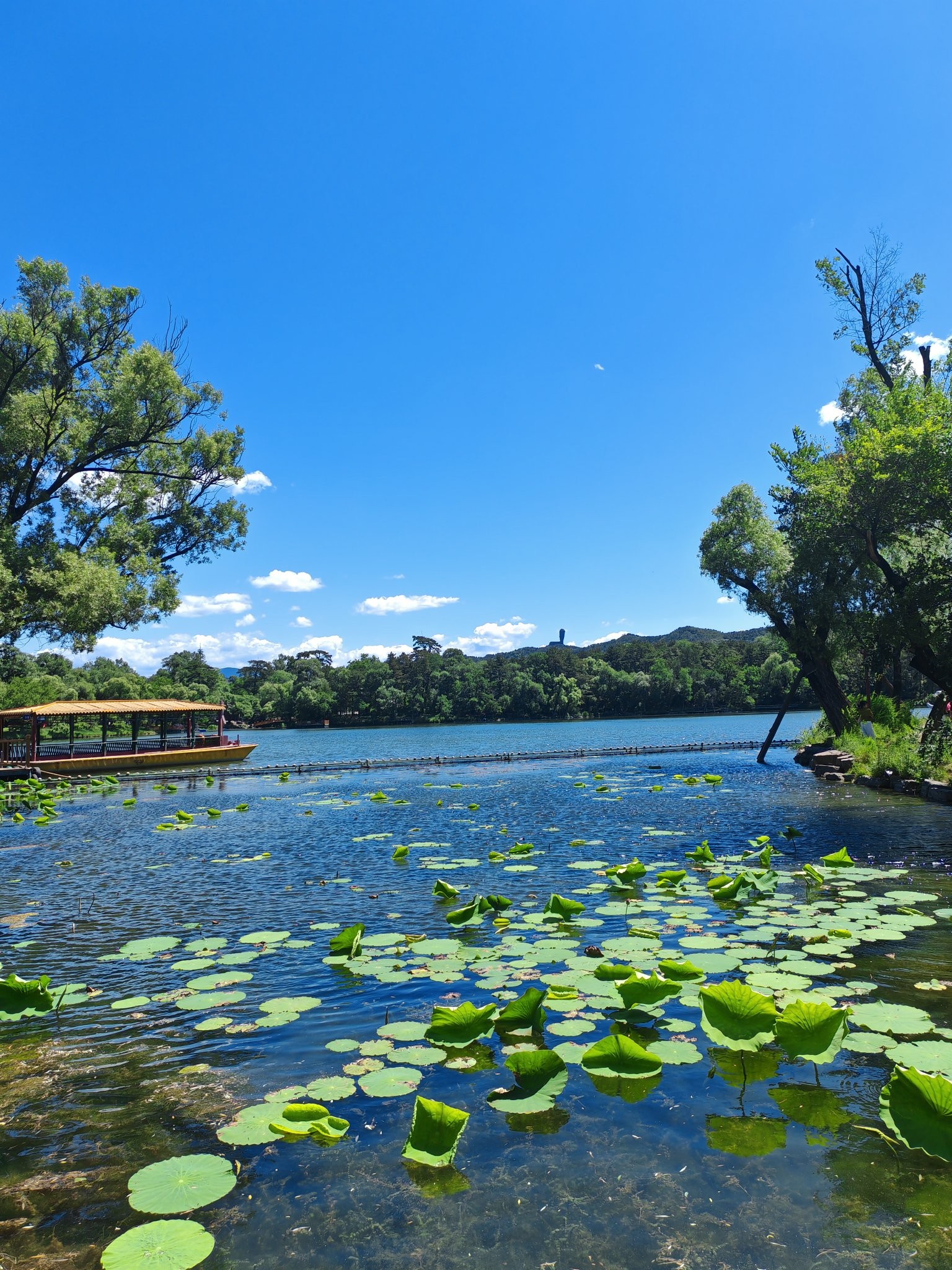 澳门新葡京ONE口碑_澳门新葡京汽车